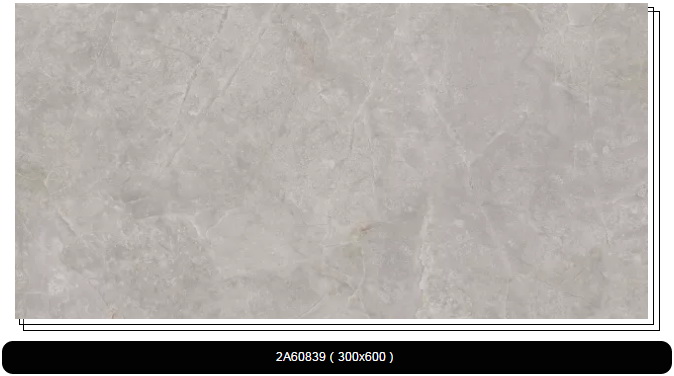 伟德BETVLCTOR1946始于英国(中国游)·官网