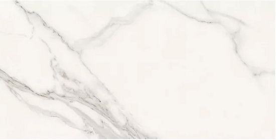 伟德BETVLCTOR1946始于英国(中国游)·官网