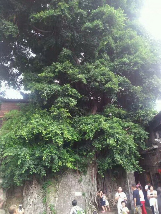 伟德BETVLCTOR1946始于英国(中国游)·官网