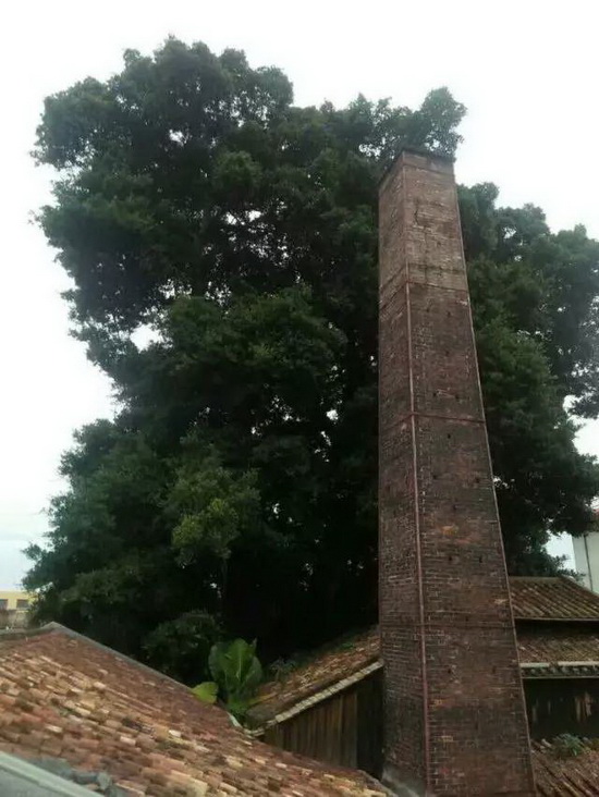 伟德BETVLCTOR1946始于英国(中国游)·官网