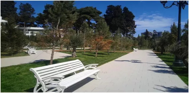 伟德BETVLCTOR1946始于英国(中国游)·官网