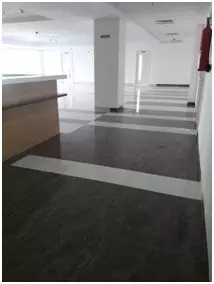 伟德BETVLCTOR1946始于英国(中国游)·官网