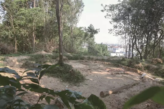 伟德BETVLCTOR1946始于英国(中国游)·官网