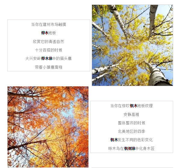 伟德BETVLCTOR1946始于英国(中国游)·官网