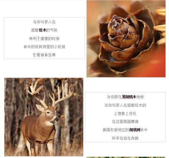 伟德BETVLCTOR1946始于英国(中国游)·官网