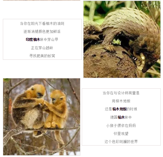 伟德BETVLCTOR1946始于英国(中国游)·官网