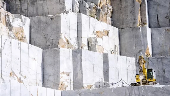 伟德BETVLCTOR1946始于英国陶瓷·连纹大板瓷砖