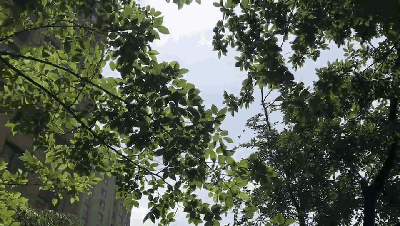 伟德BETVLCTOR1946始于英国陶瓷