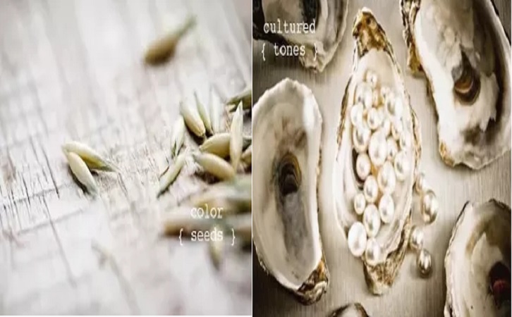 伟德BETVLCTOR1946始于英国陶瓷