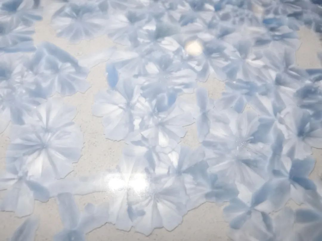 伟德BETVLCTOR1946始于英国(中国游)·官网