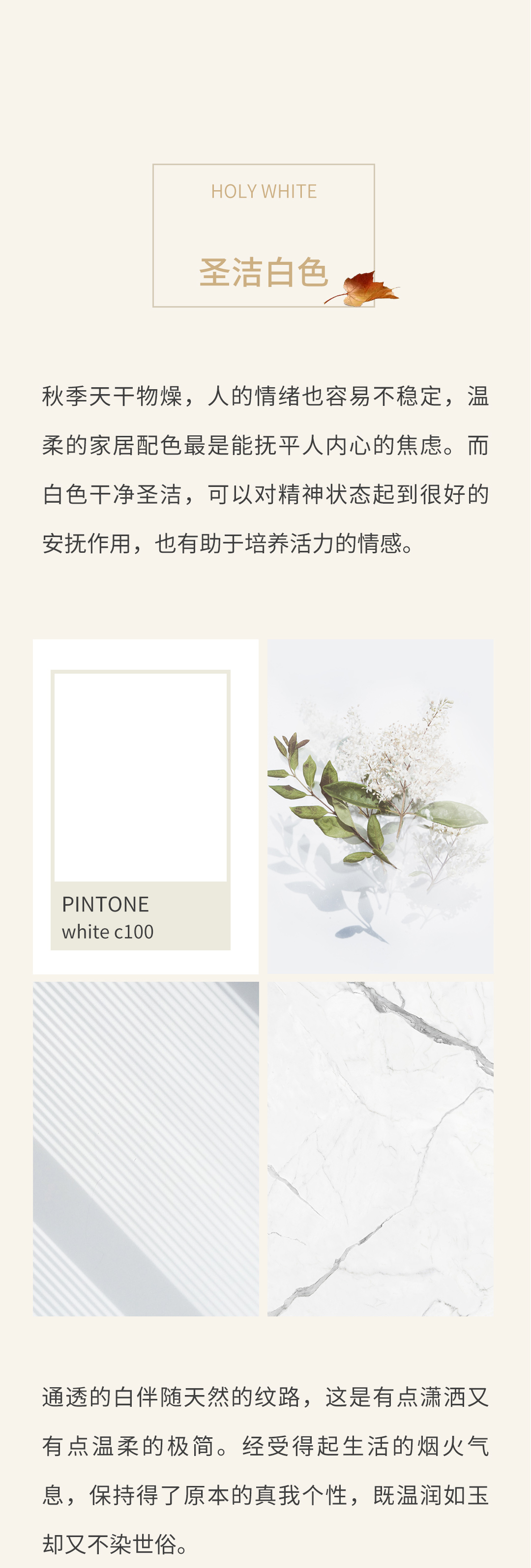 伟德BETVLCTOR1946始于英国(中国游)·官网