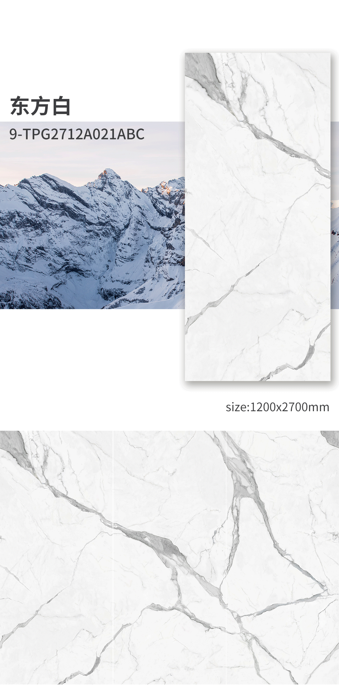 伟德BETVLCTOR1946始于英国(中国游)·官网