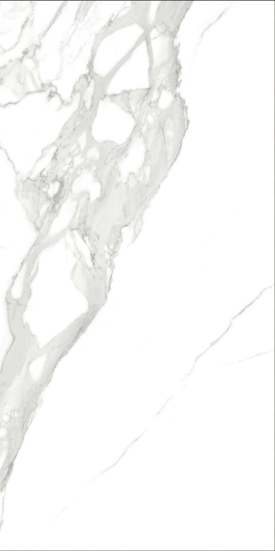 伟德BETVLCTOR1946始于英国(中国游)·官网