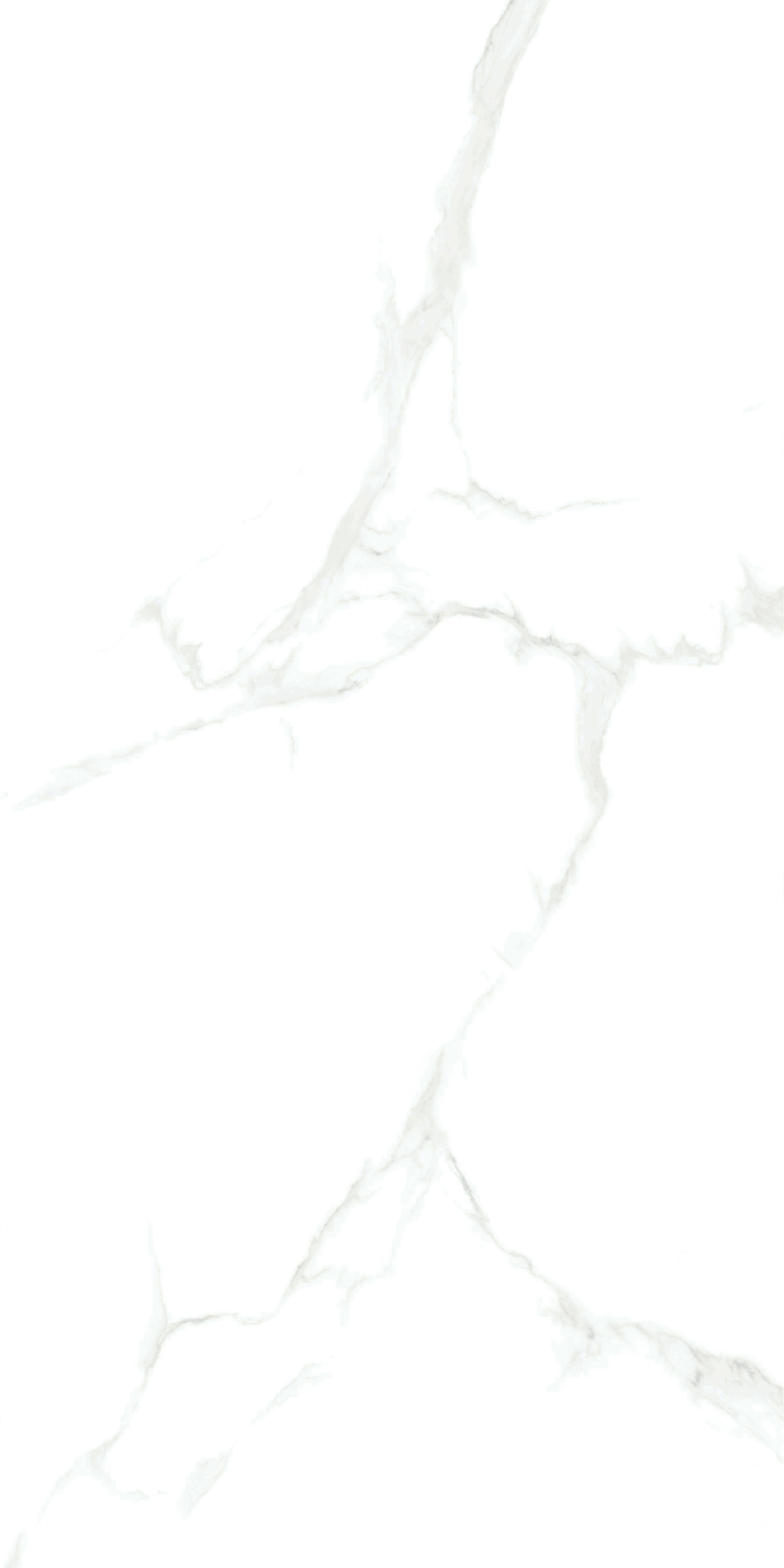 伟德BETVLCTOR1946始于英国(中国游)·官网