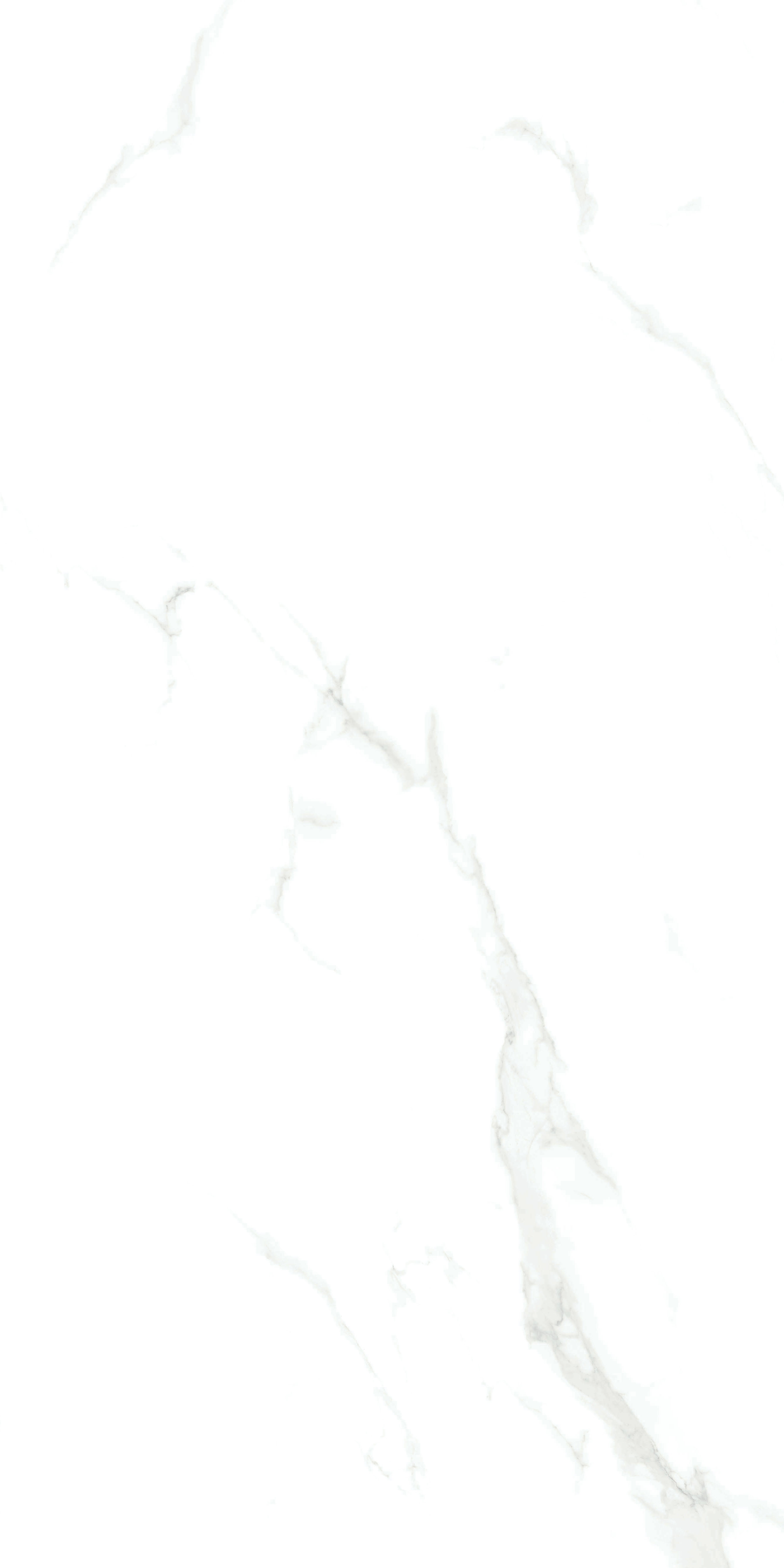 伟德BETVLCTOR1946始于英国(中国游)·官网