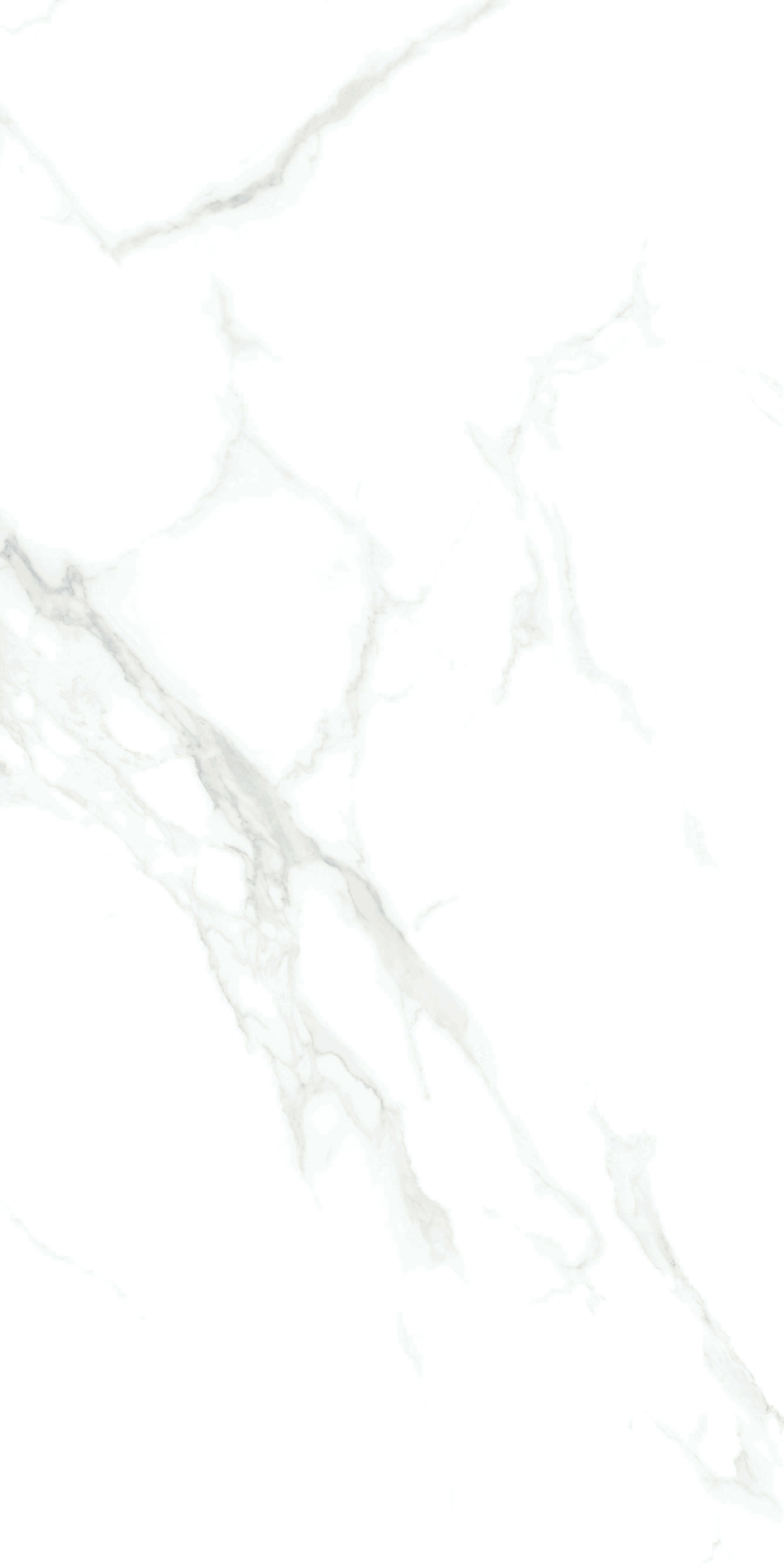 伟德BETVLCTOR1946始于英国(中国游)·官网