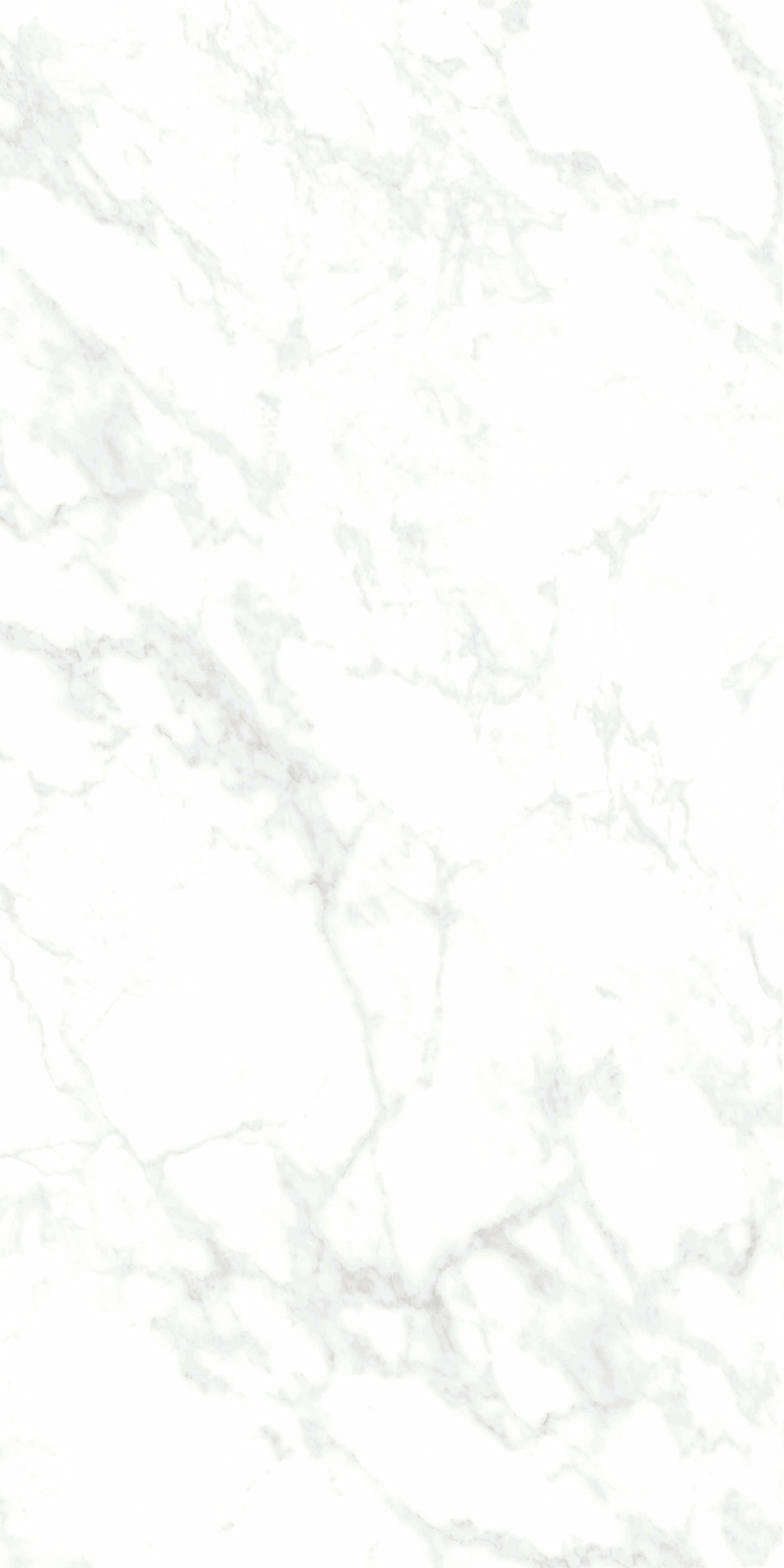 伟德BETVLCTOR1946始于英国(中国游)·官网