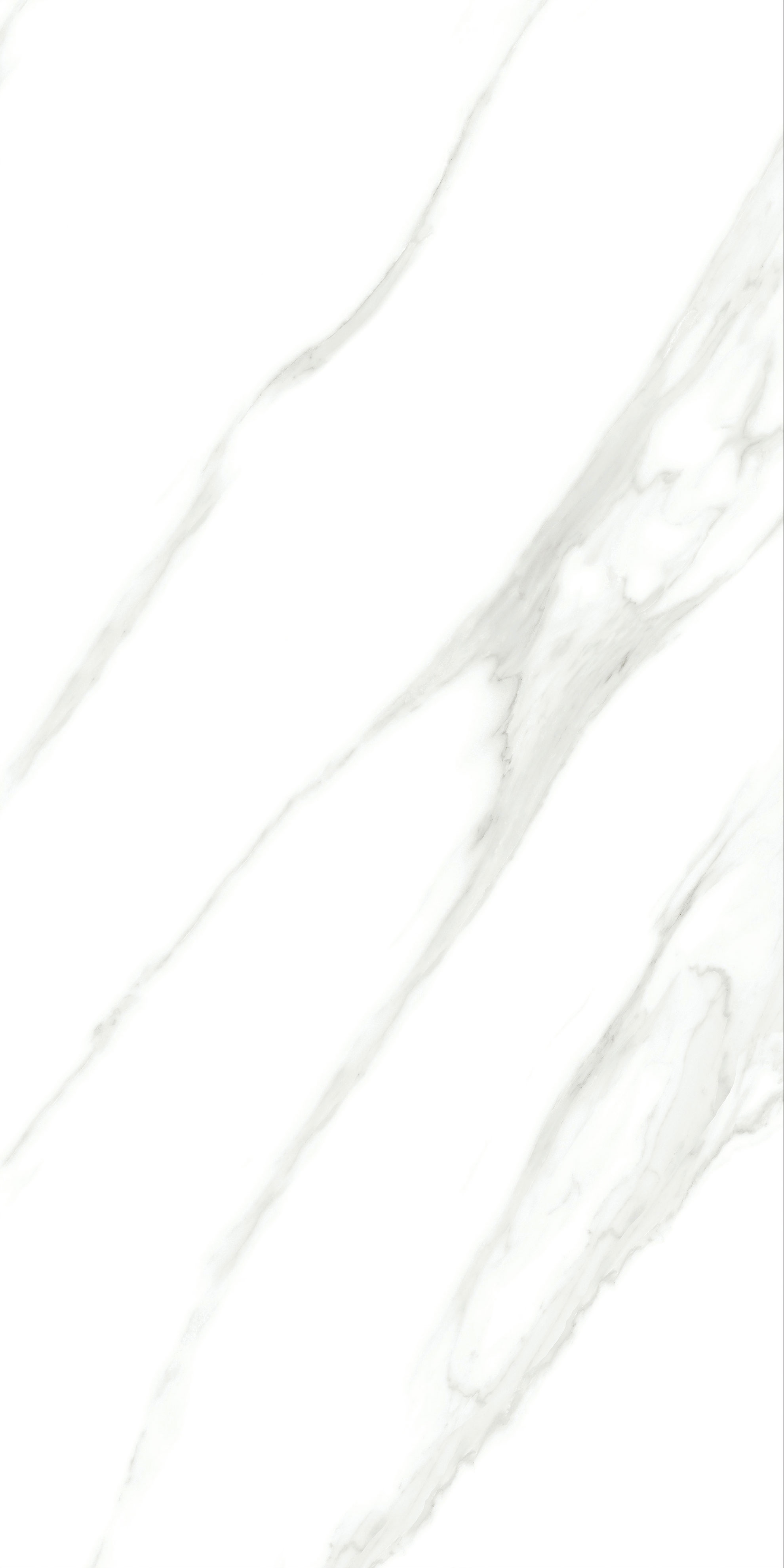 伟德BETVLCTOR1946始于英国(中国游)·官网