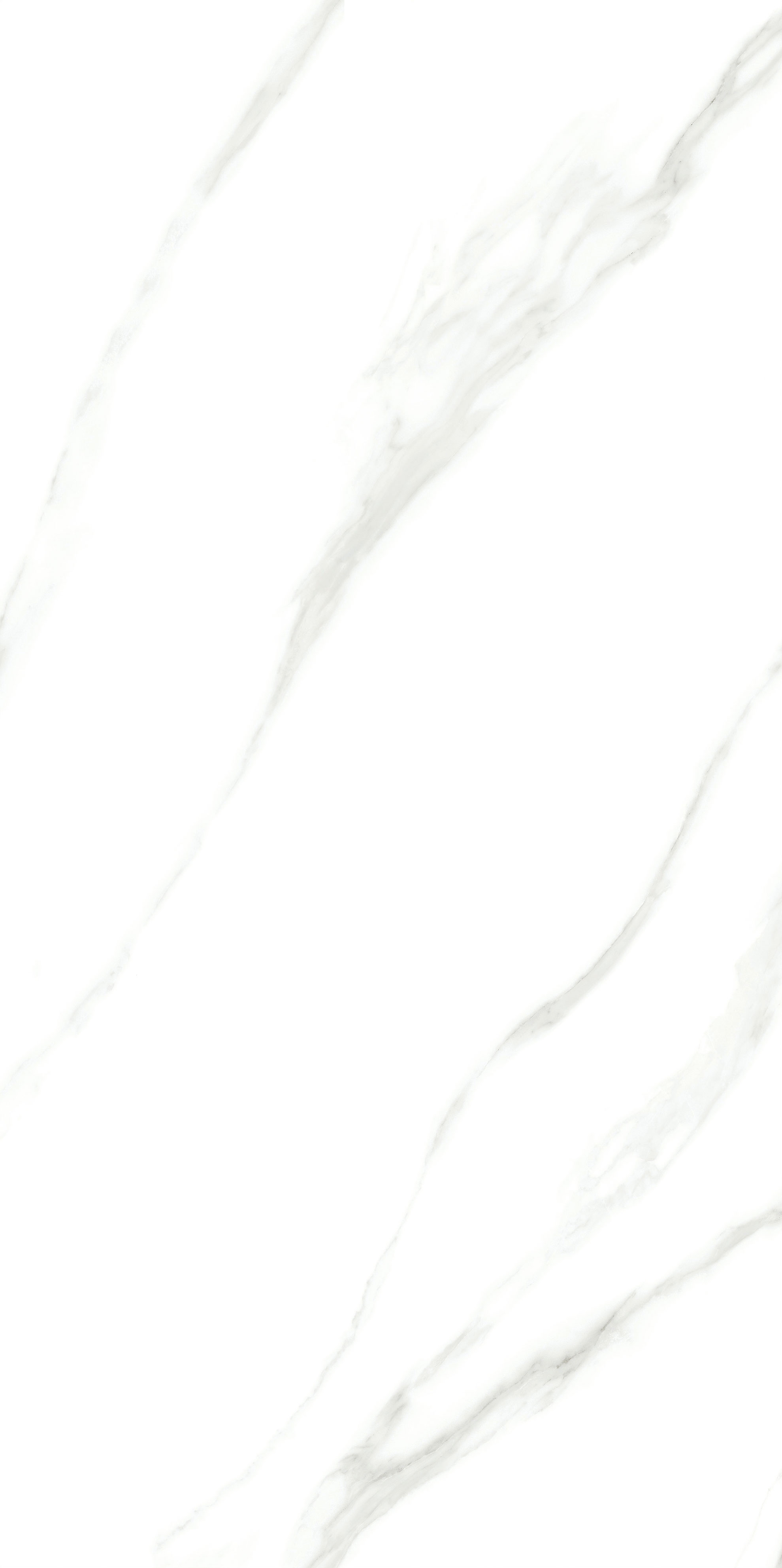 伟德BETVLCTOR1946始于英国(中国游)·官网