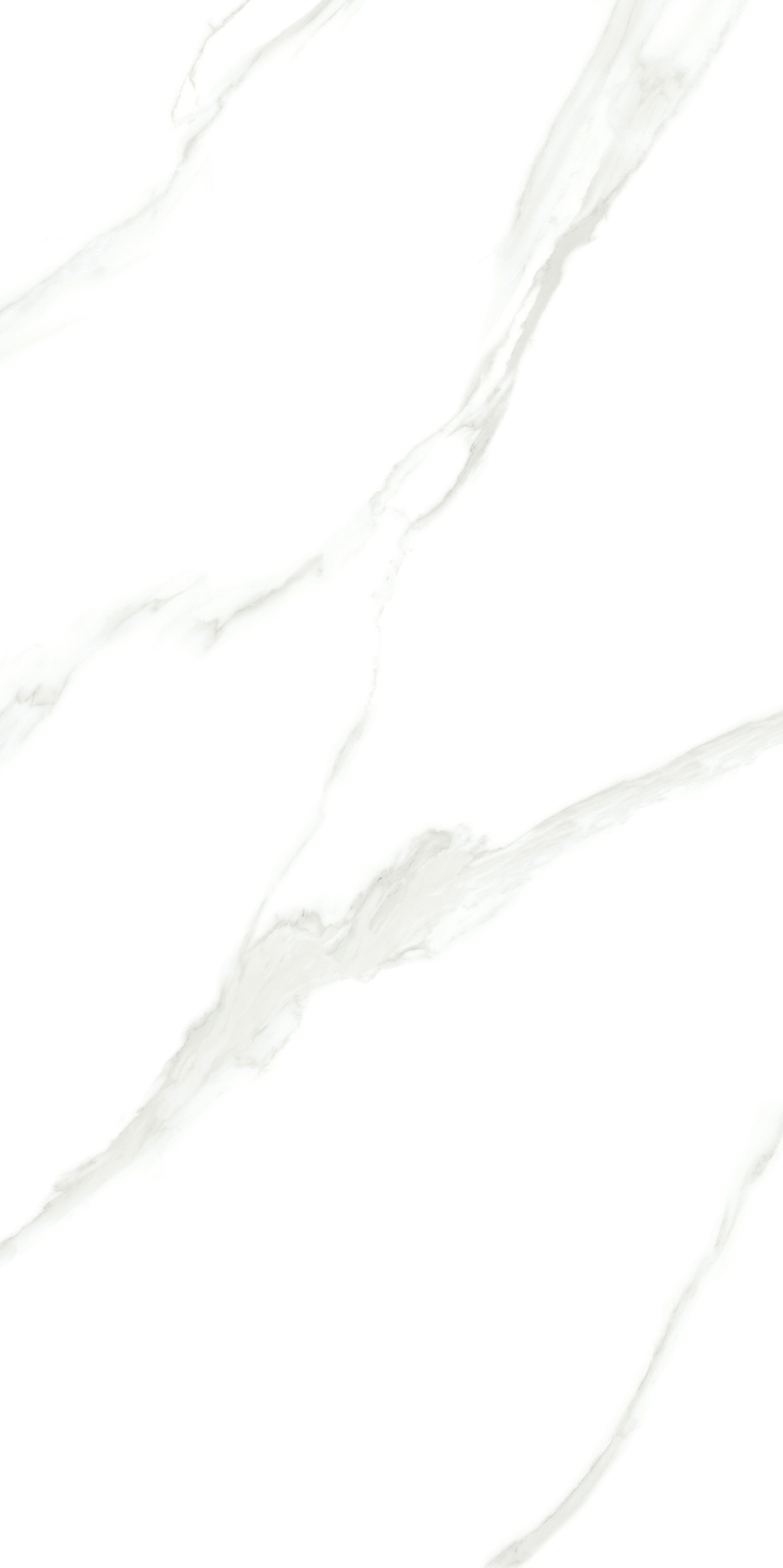 伟德BETVLCTOR1946始于英国(中国游)·官网