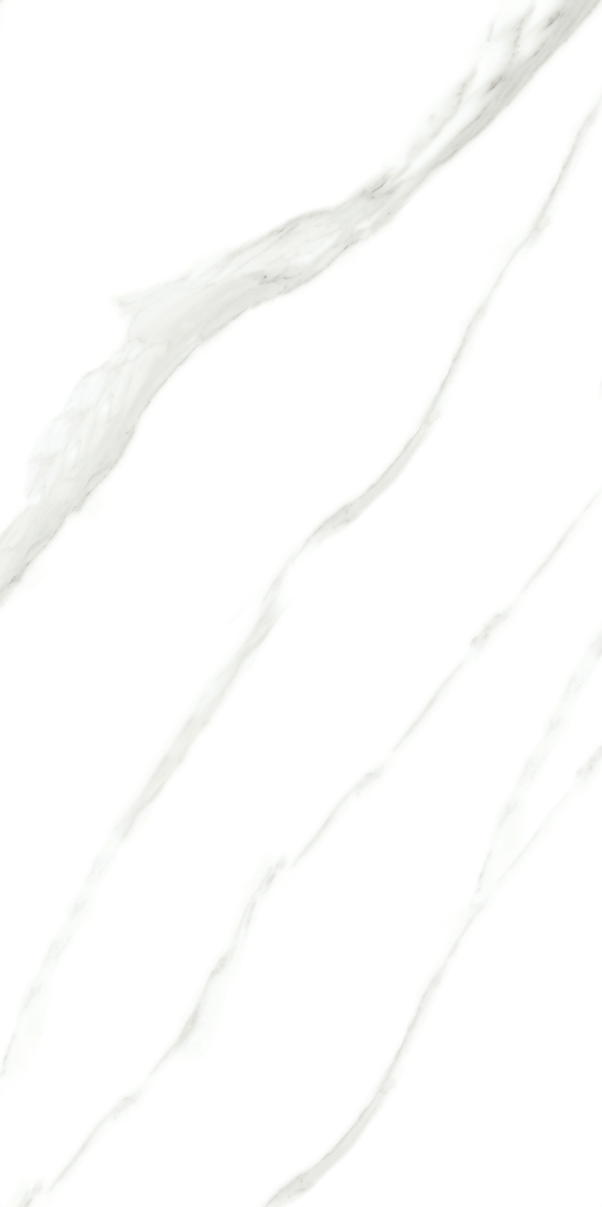 伟德BETVLCTOR1946始于英国(中国游)·官网