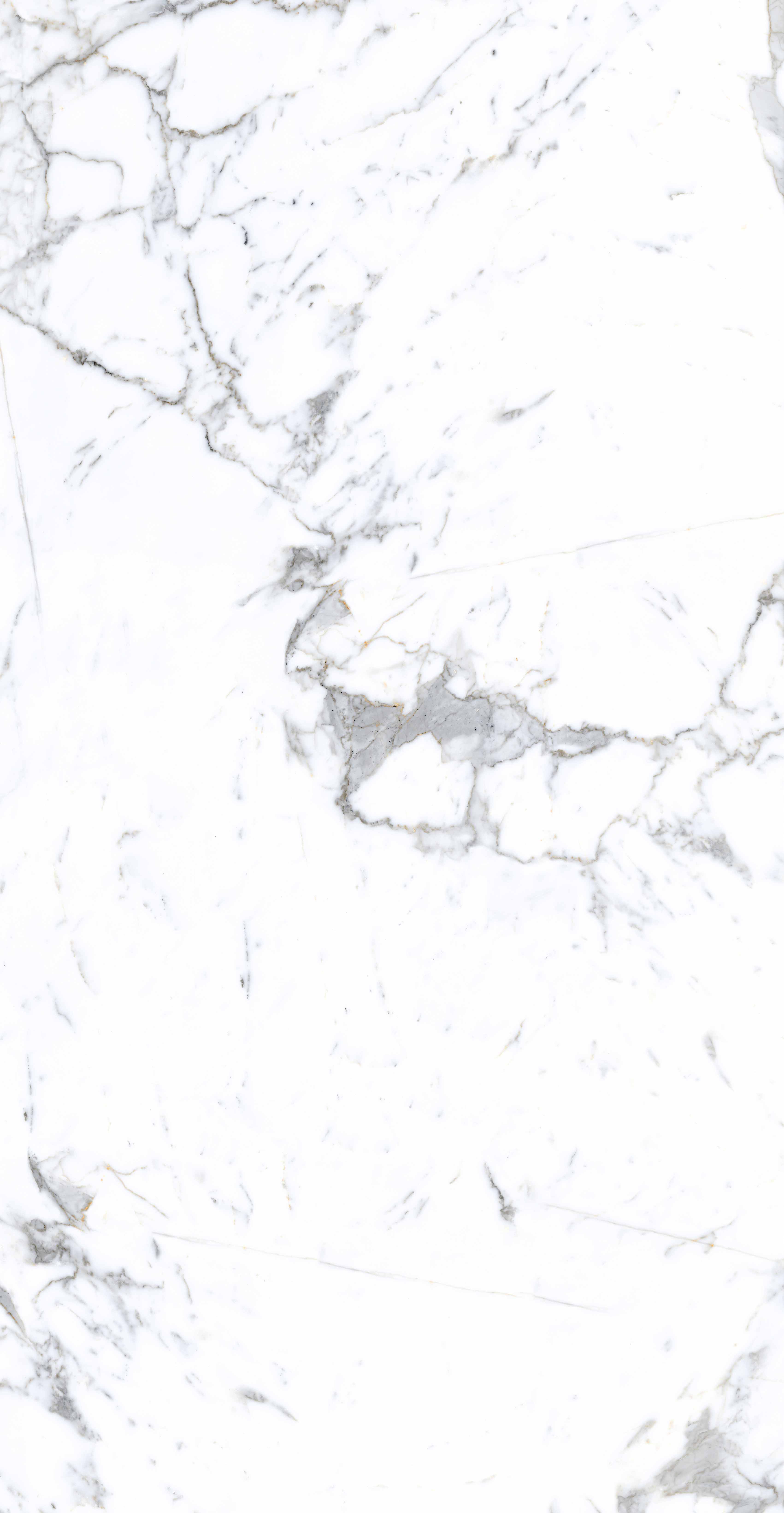 伟德BETVLCTOR1946始于英国(中国游)·官网