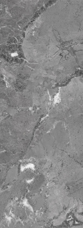 伟德BETVLCTOR1946始于英国(中国游)·官网