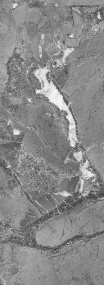 伟德BETVLCTOR1946始于英国(中国游)·官网