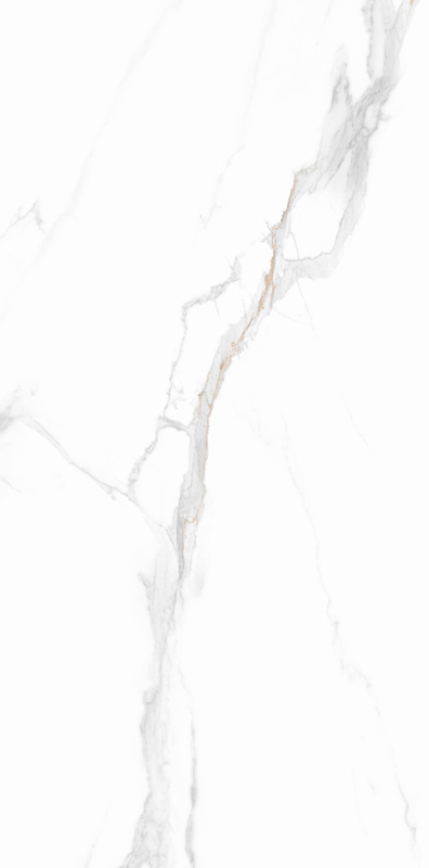 伟德BETVLCTOR1946始于英国(中国游)·官网