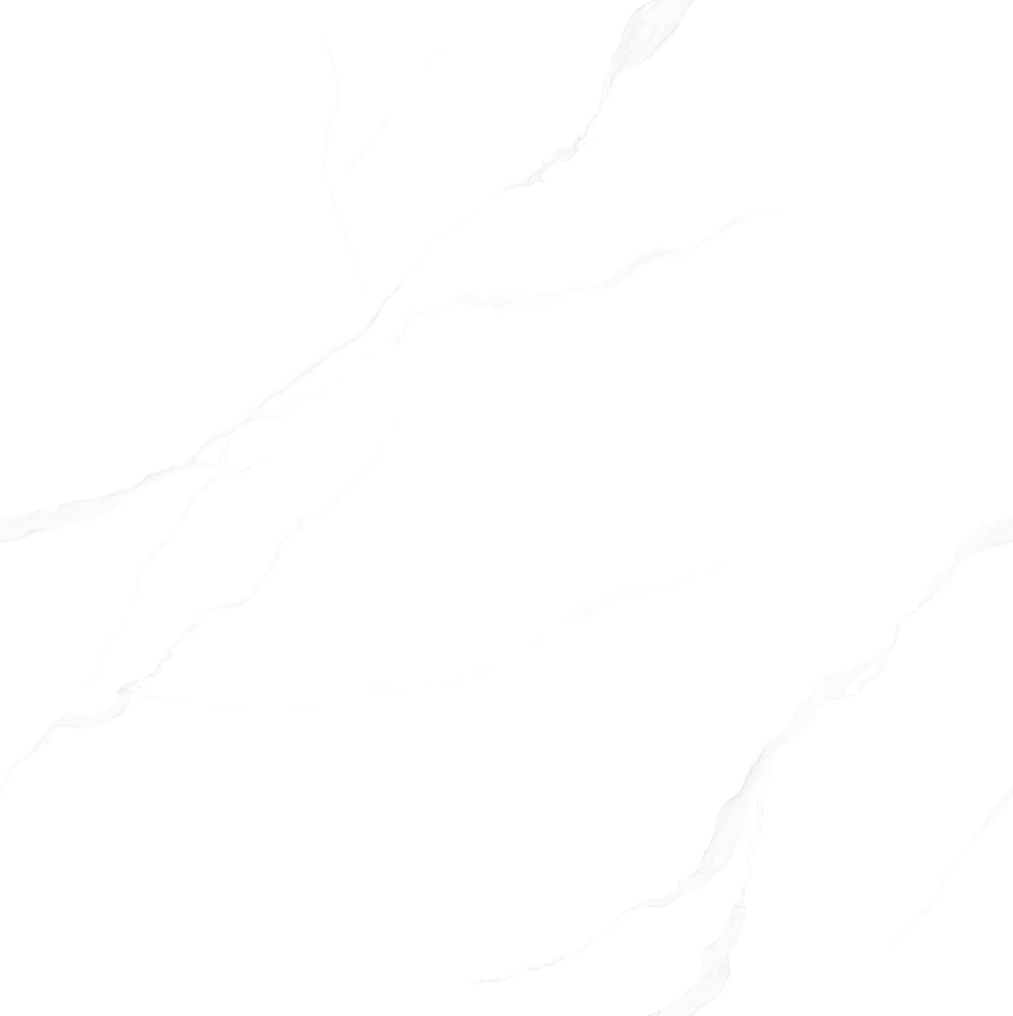 伟德BETVLCTOR1946始于英国(中国游)·官网