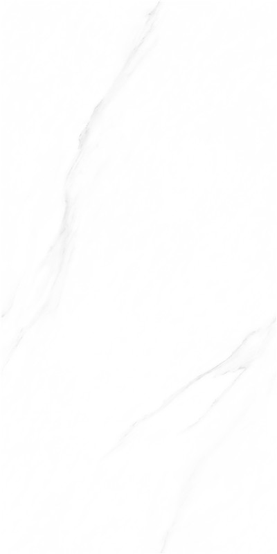 伟德BETVLCTOR1946始于英国(中国游)·官网