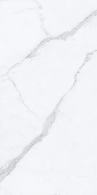 伟德BETVLCTOR1946始于英国(中国游)·官网