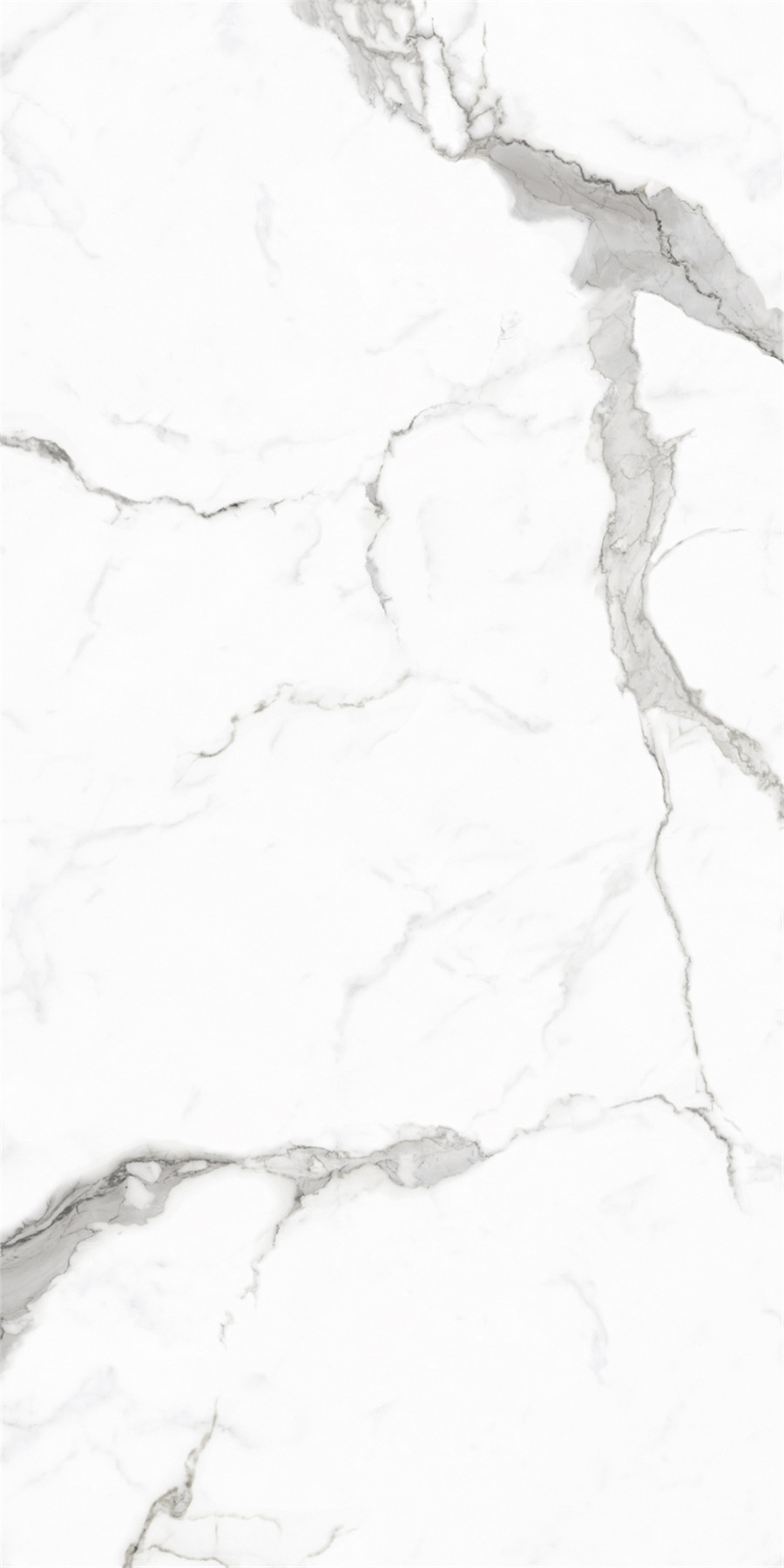 伟德BETVLCTOR1946始于英国(中国游)·官网