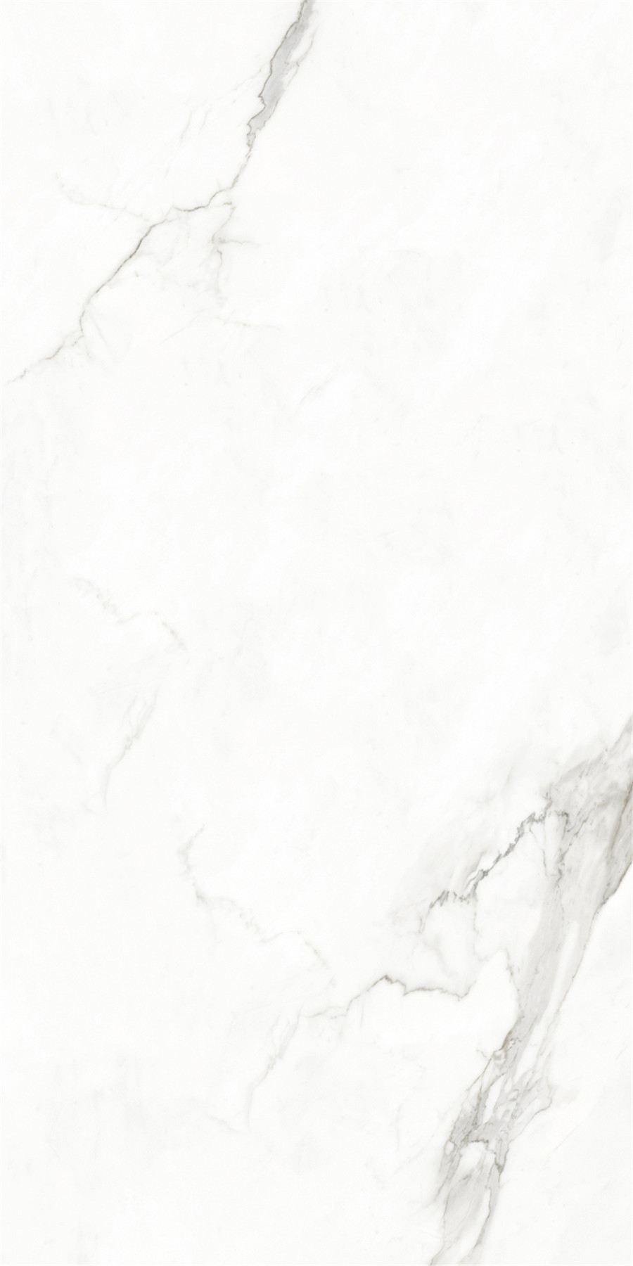 伟德BETVLCTOR1946始于英国(中国游)·官网