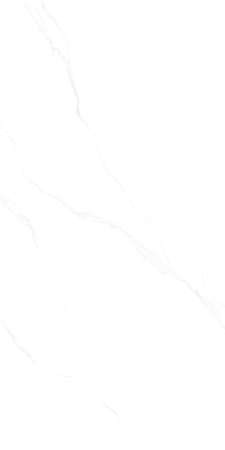 伟德BETVLCTOR1946始于英国(中国游)·官网