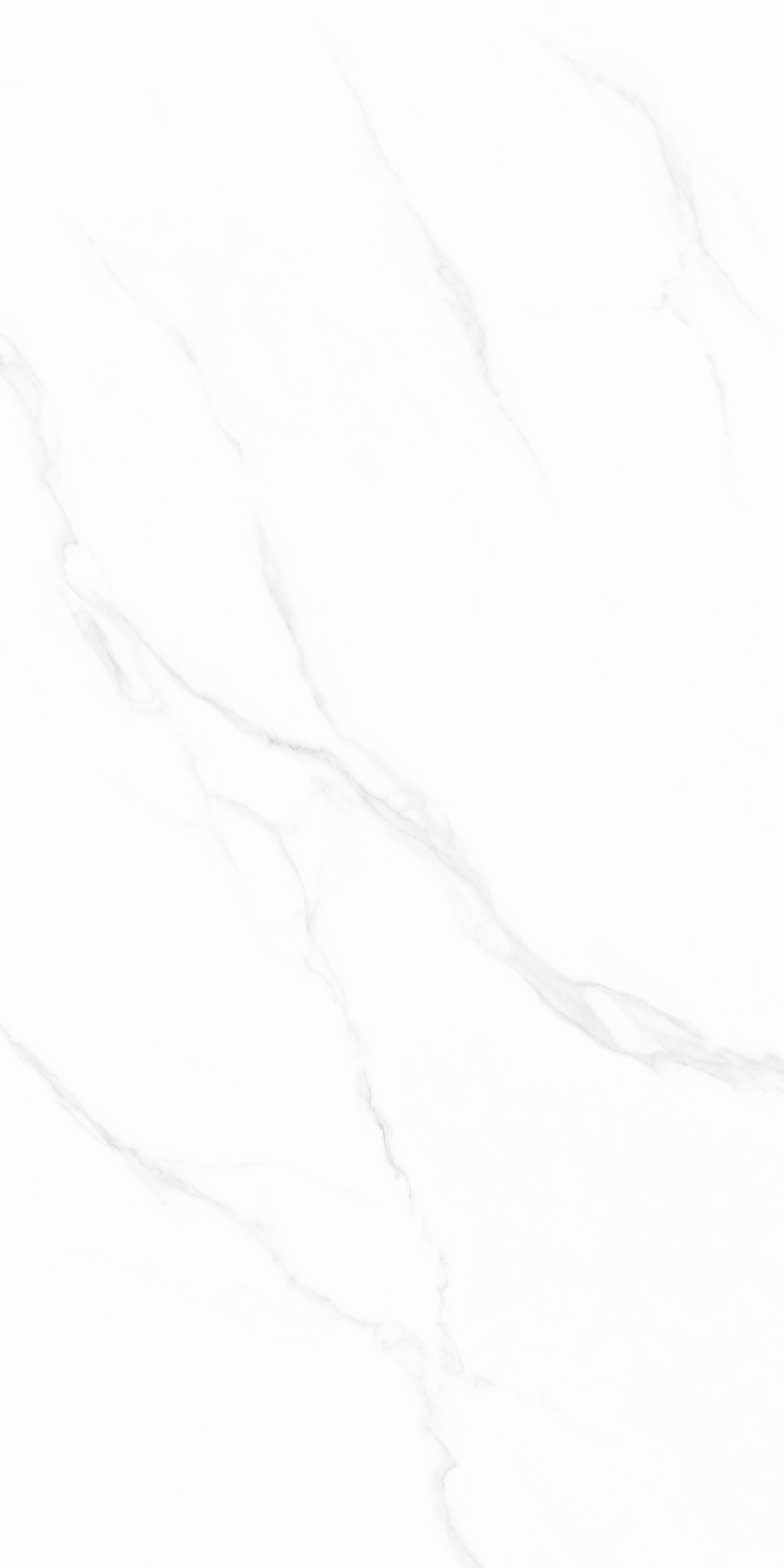 伟德BETVLCTOR1946始于英国(中国游)·官网