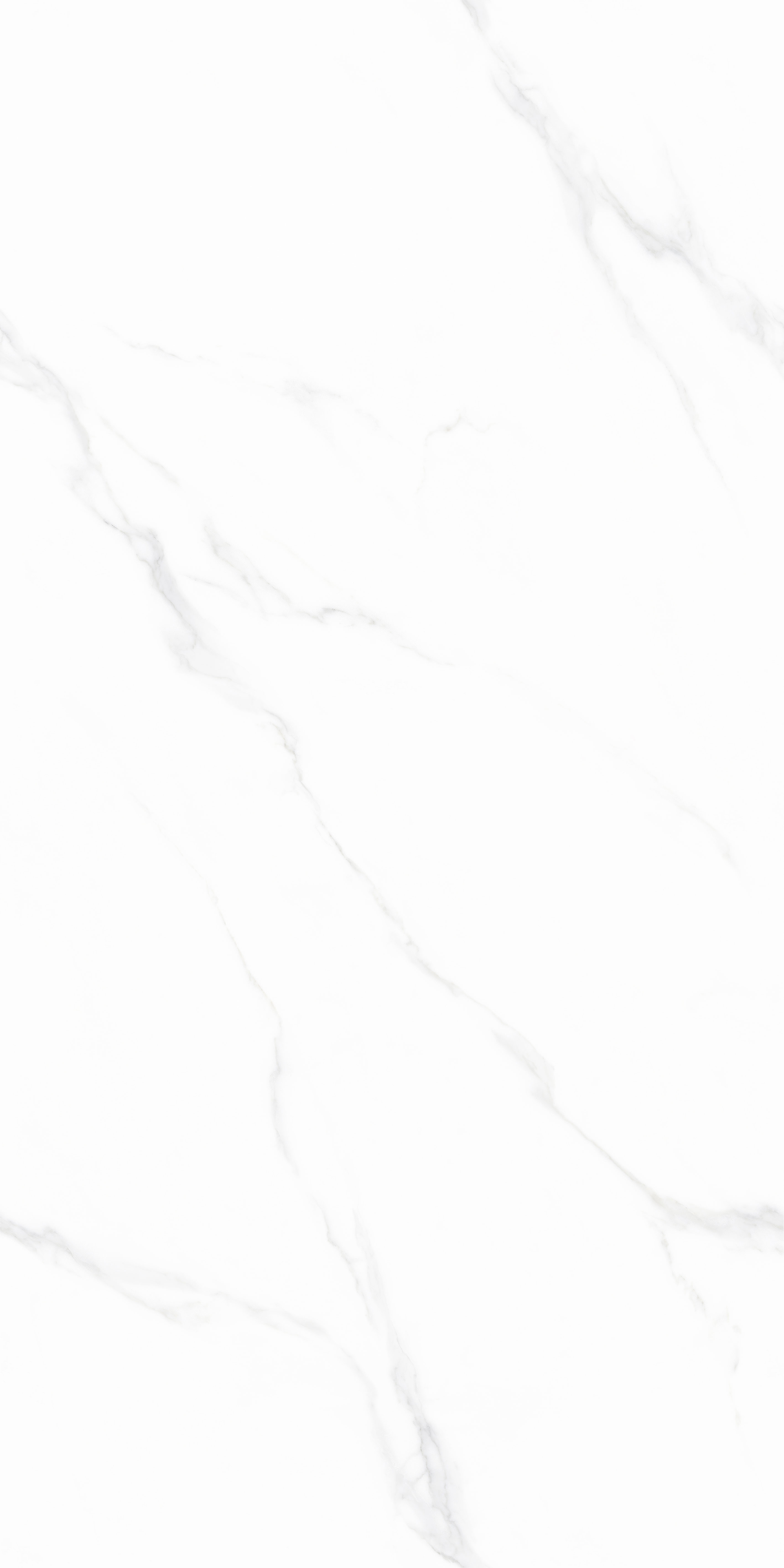 伟德BETVLCTOR1946始于英国(中国游)·官网