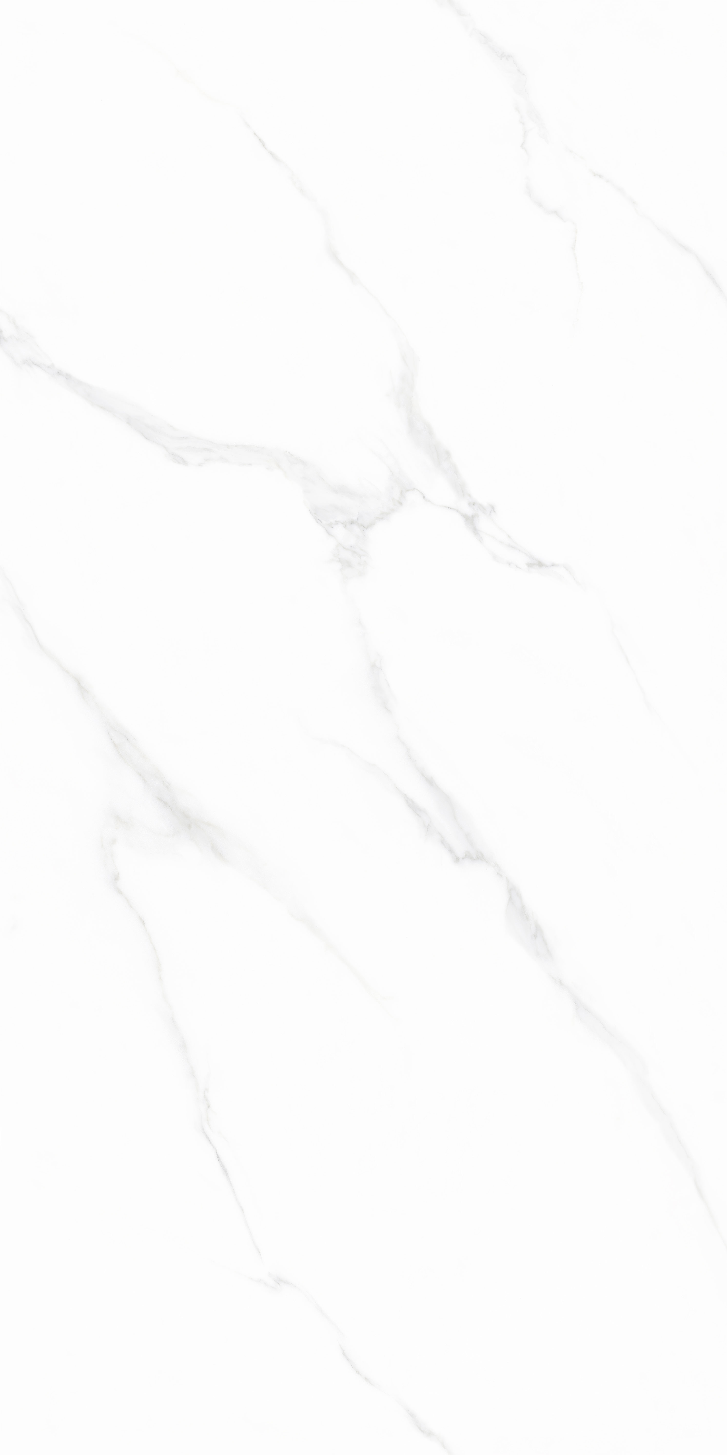 伟德BETVLCTOR1946始于英国(中国游)·官网