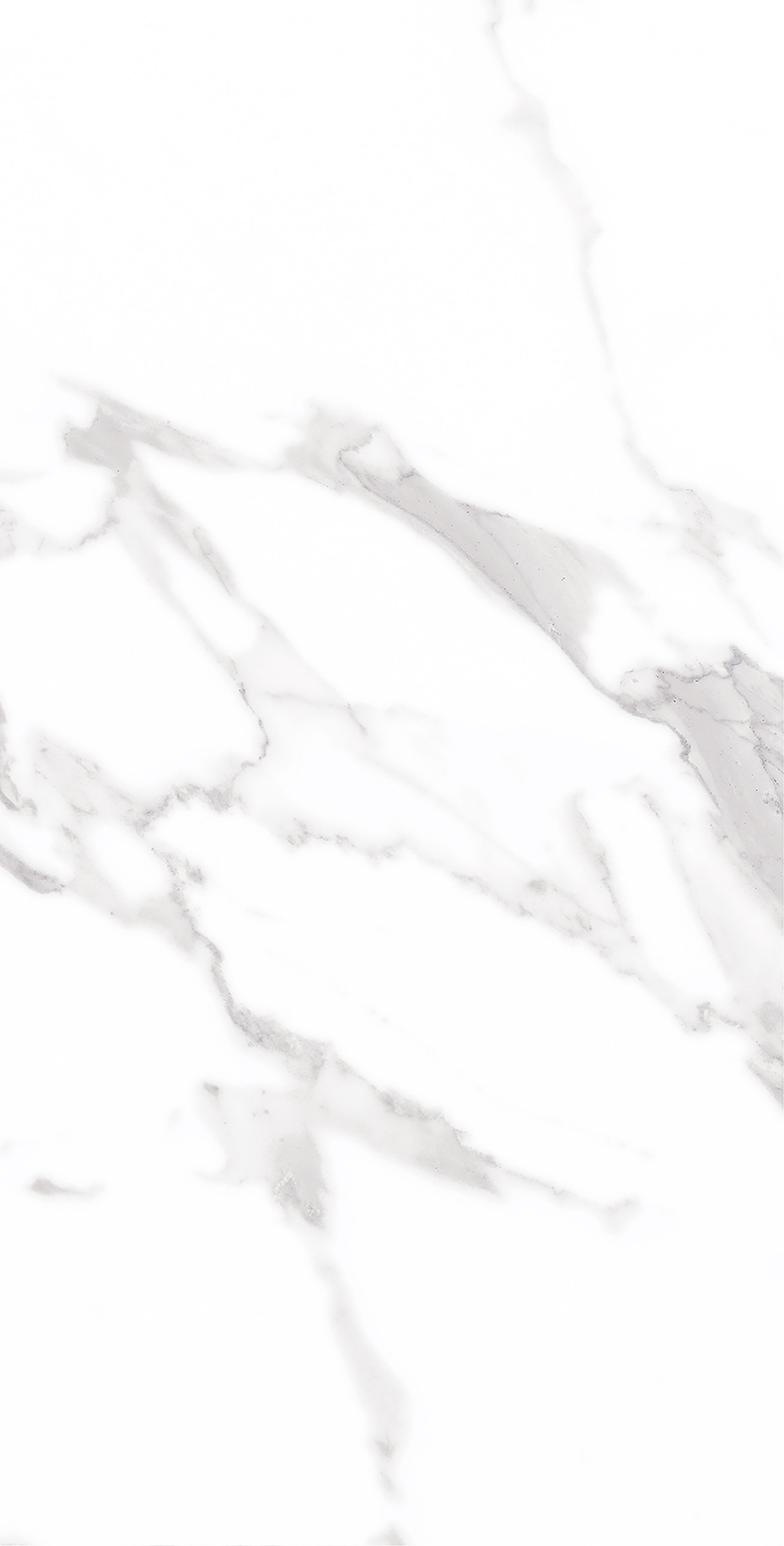 伟德BETVLCTOR1946始于英国(中国游)·官网