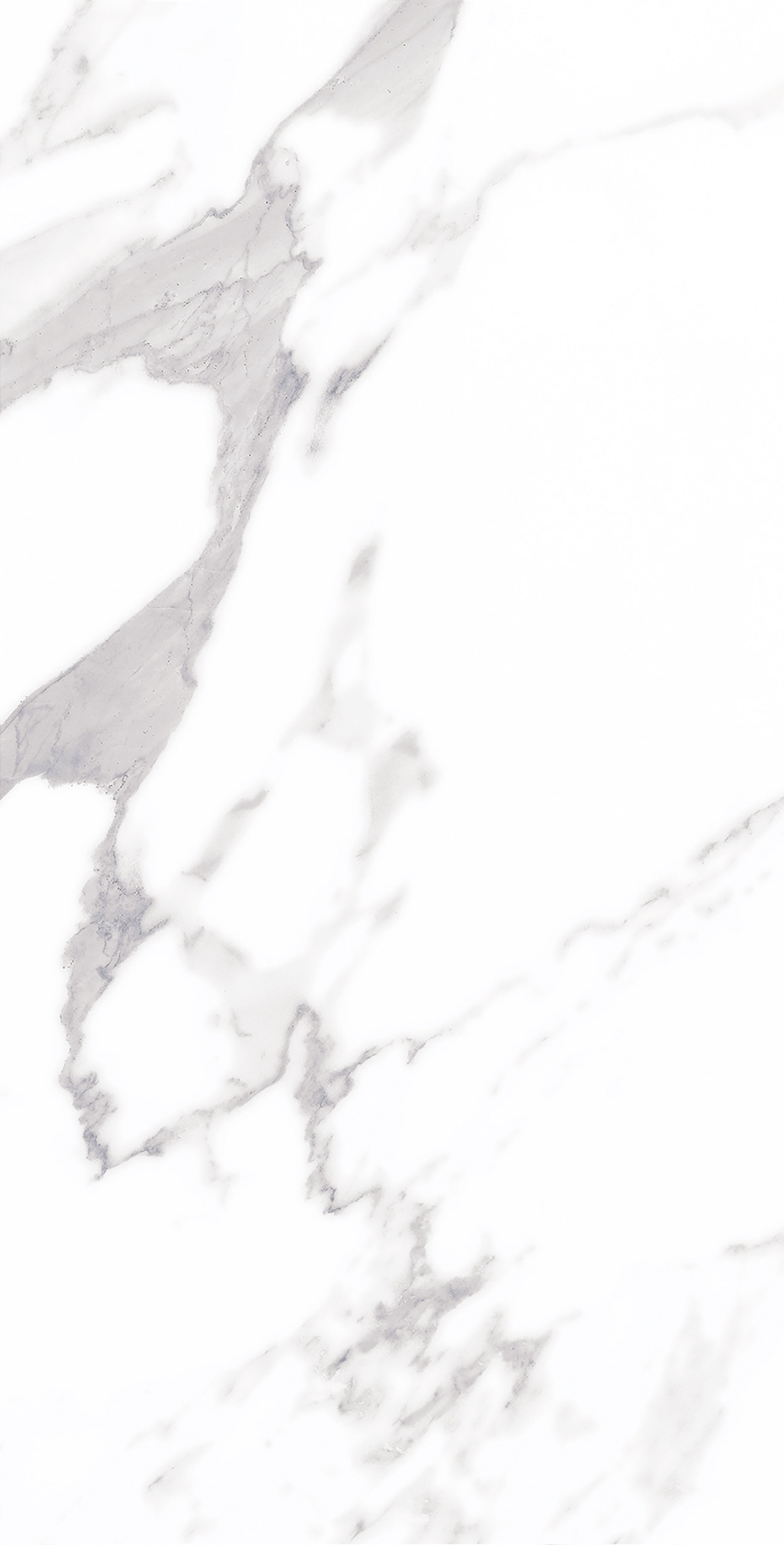 伟德BETVLCTOR1946始于英国(中国游)·官网