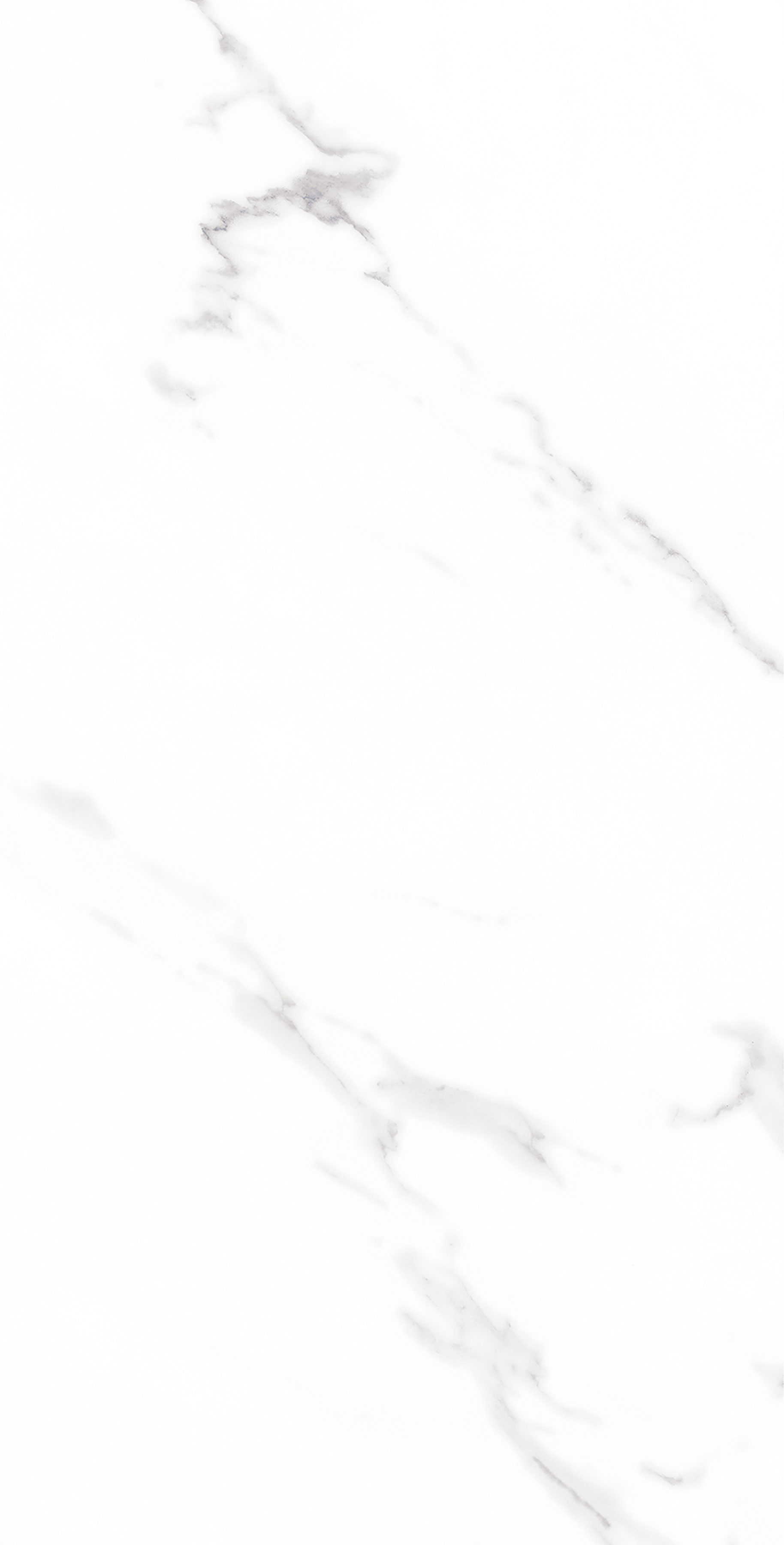 伟德BETVLCTOR1946始于英国(中国游)·官网