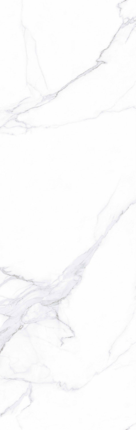 伟德BETVLCTOR1946始于英国(中国游)·官网