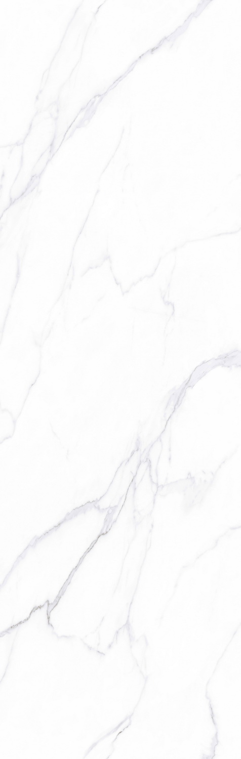 伟德BETVLCTOR1946始于英国(中国游)·官网