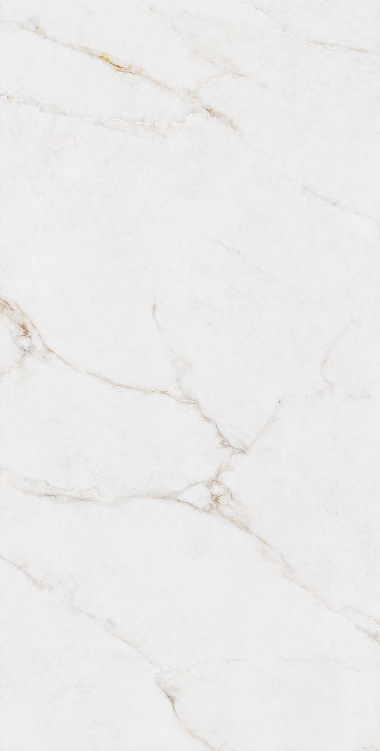 伟德BETVLCTOR1946始于英国(中国游)·官网