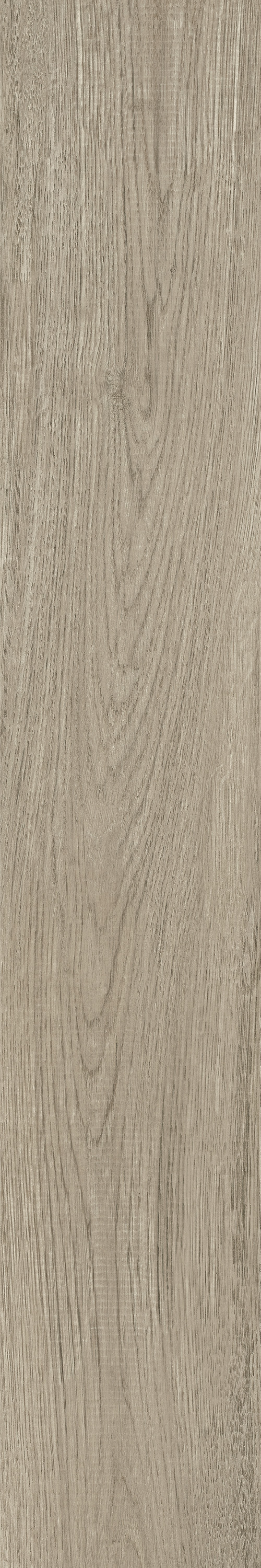 伟德BETVLCTOR1946始于英国(中国游)·官网