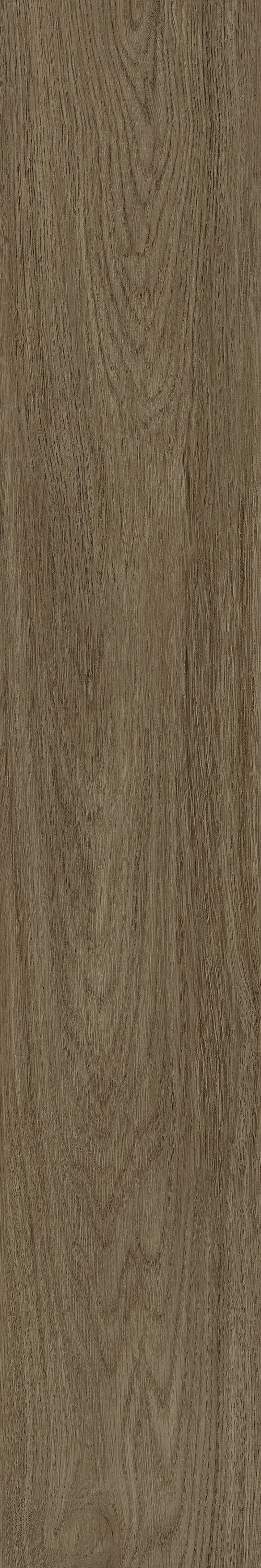 伟德BETVLCTOR1946始于英国(中国游)·官网