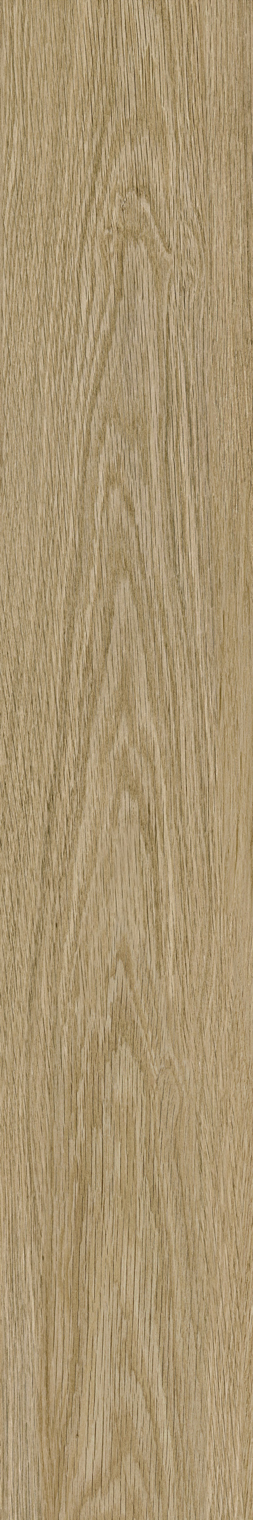 伟德BETVLCTOR1946始于英国(中国游)·官网