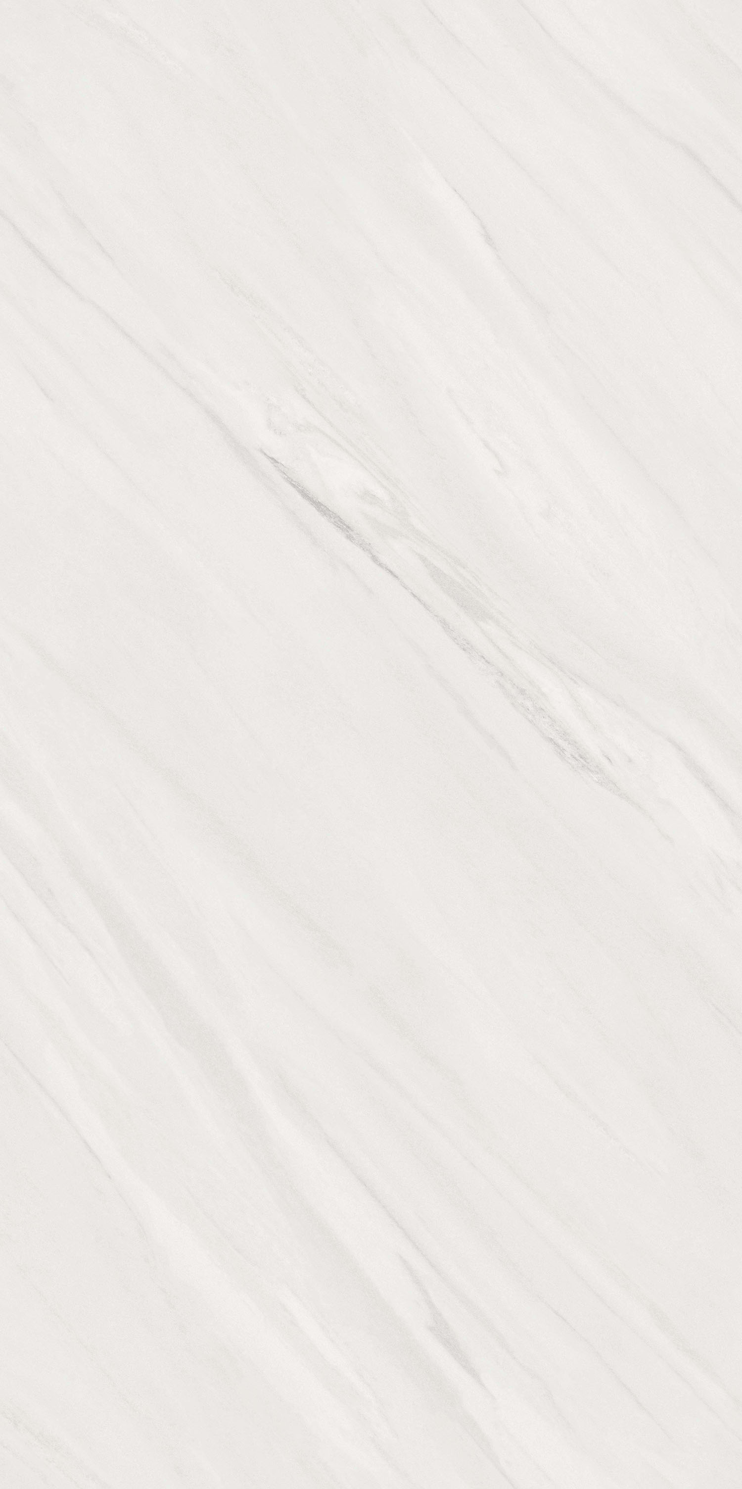 伟德BETVLCTOR1946始于英国(中国游)·官网