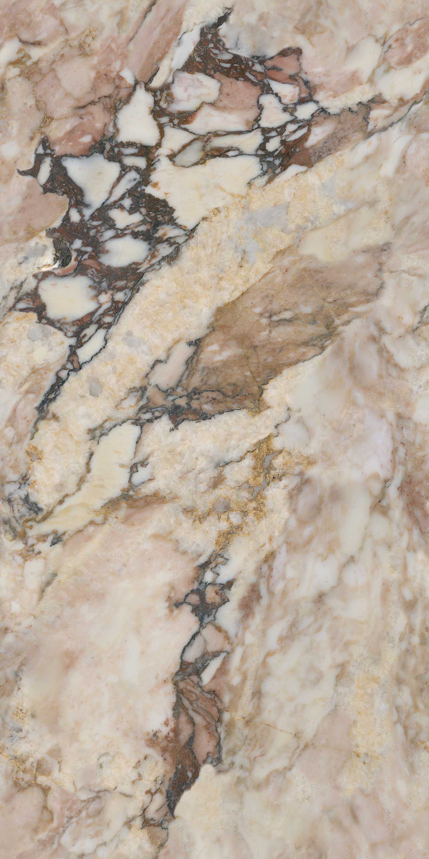 伟德BETVLCTOR1946始于英国(中国游)·官网