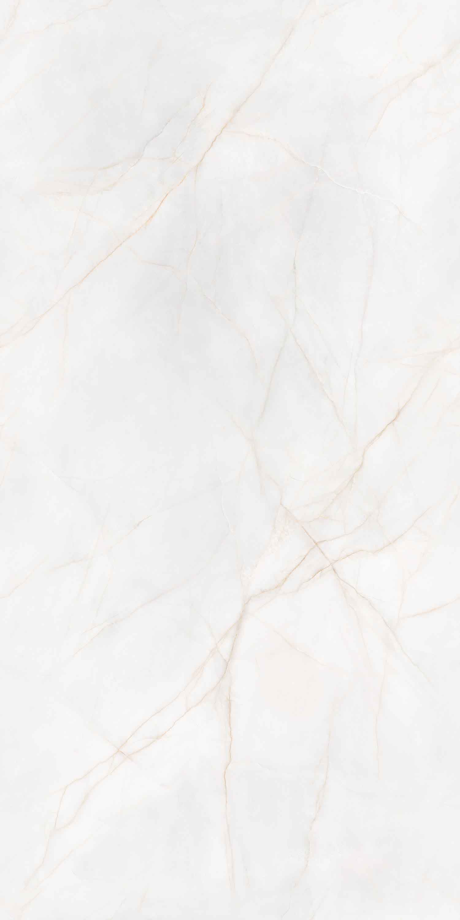 伟德BETVLCTOR1946始于英国(中国游)·官网